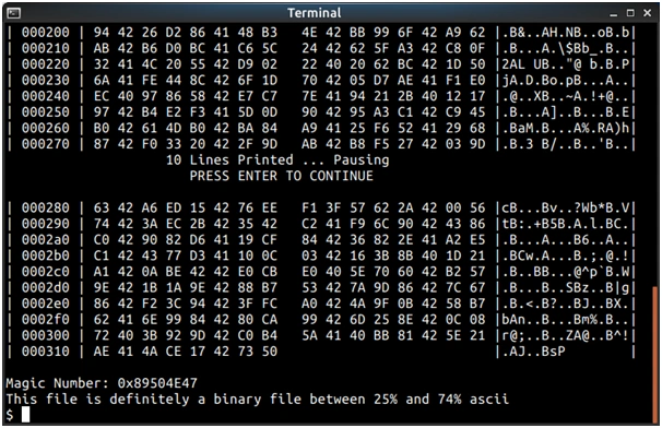 Identify whether a file is text or binary in C language 10