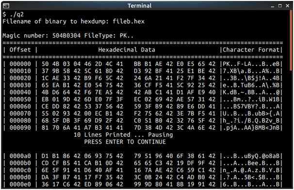 Identify whether a file is text or binary in C language 5