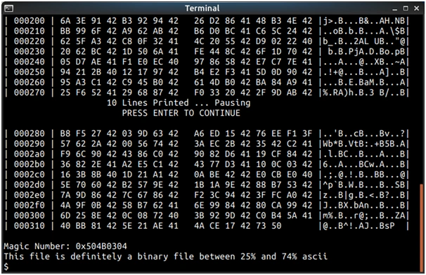 Identify whether a file is text or binary in C language 6