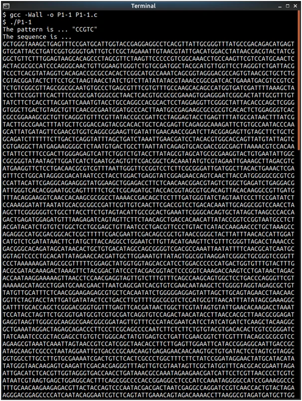 search DNA sequence in C and MIPS assembly language